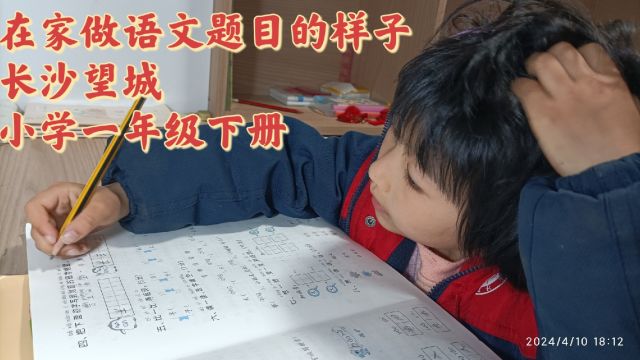 长沙望城,小学一年级下册,在家做语文题目的样子,有点费橡皮擦