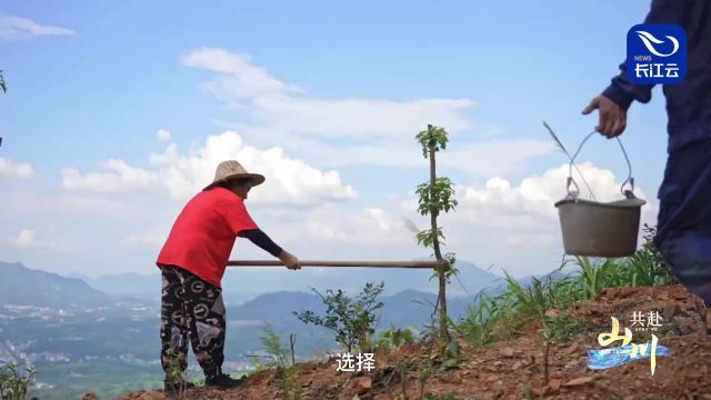 和谐共生|万物生长 共赴山川