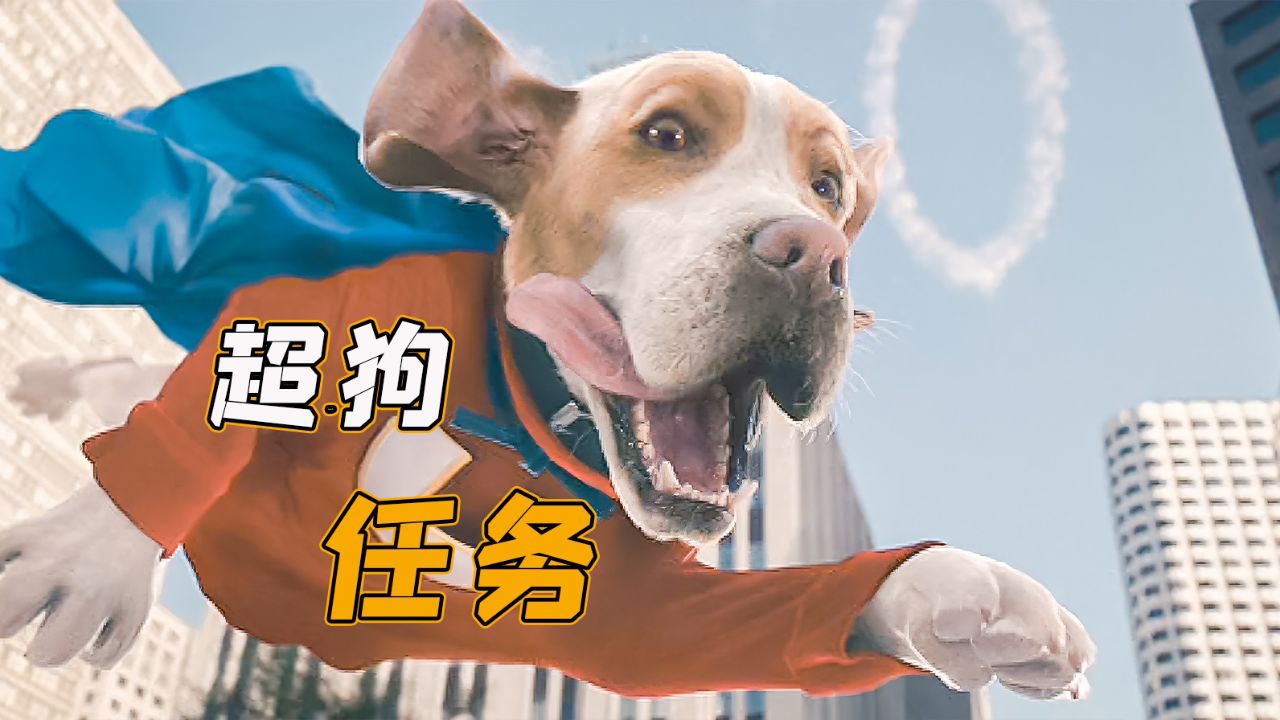 壁纸 动物 狗 狗狗 1280_720