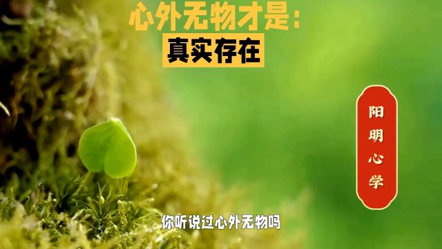 心外无物才是:真实存在