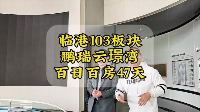 临港103板块,鹏瑞云璟湾,百日百房47天