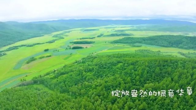 阿荣旗城市推介片 | 风光旖旎 四季阿荣