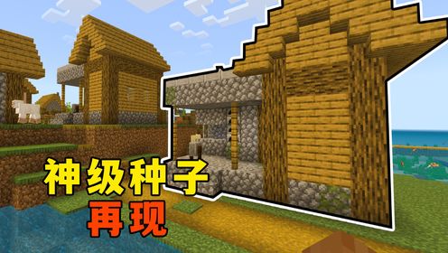 我的世界：神级种子再现，一村五个铁匠铺，还能速通！_高清