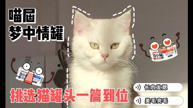 猫罐头如何选择?高口碑热门猫主食罐推荐!新手铲屎官购前必看!