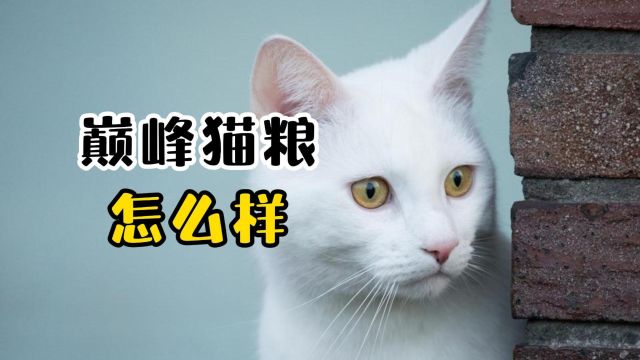 巅峰猫粮怎么样?