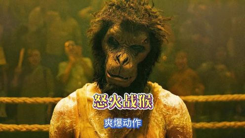 【小猪推影】一个戴猴子面具的男人参与地下战斗并为富人安排一场血腥屠杀《怒火战猴》