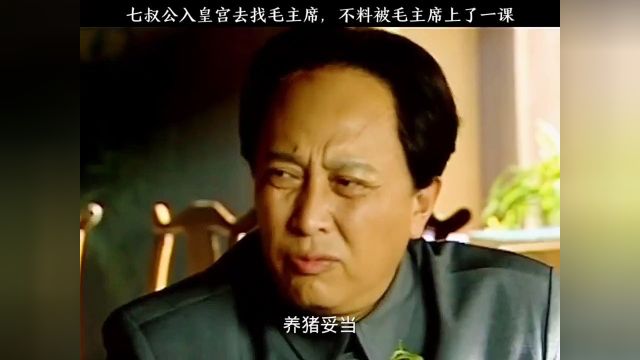 七叔公去皇宫找毛主席,不料被毛主席上了一课