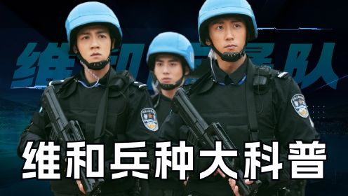《维和防暴队》维和兵种大科普：维和警察为何被称为“蓝盔”部队？
