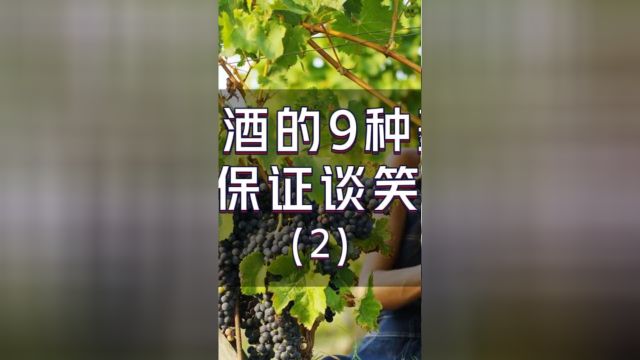 搞懂葡萄酒的9种基本风格,聊酒保证谈笑风生2