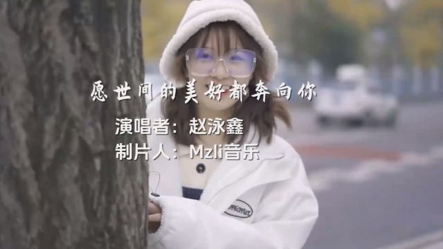 赵泳鑫倾情演绎《愿世间的美好都奔向你》,梦幻旋律唤醒美好回忆!