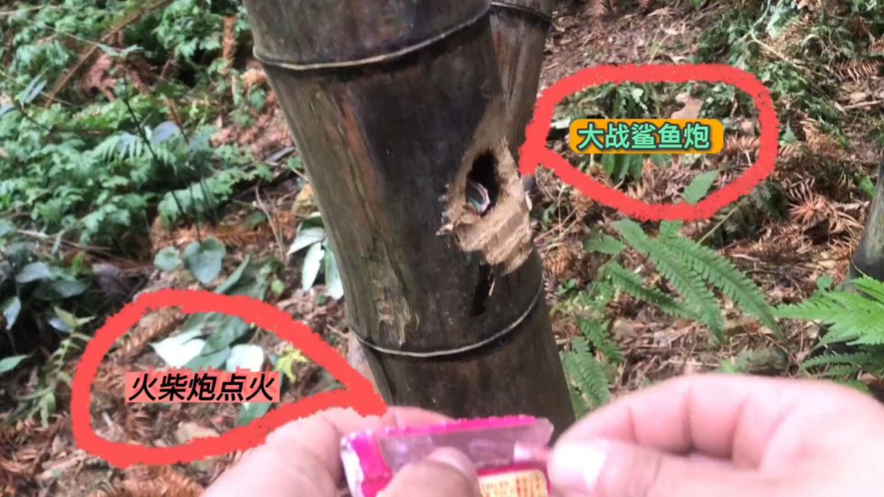 与自己预想的差了点#竹子 #大炮 #胆子 #户外 #农村生活 #火柴炮