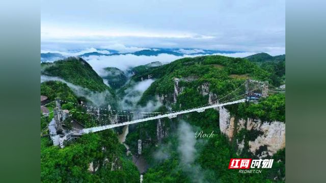 【“五一”游张家界】湖南张家界:高山峡谷间 雾漫玻璃桥