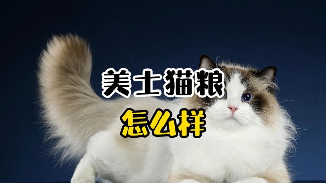 美士猫粮怎么样?