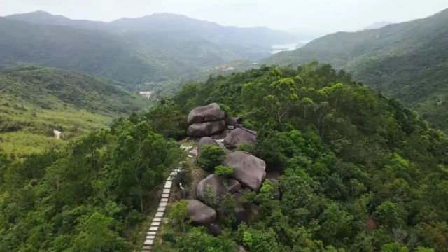 国家级荣誉!茂名这镇,实!至!名!归!