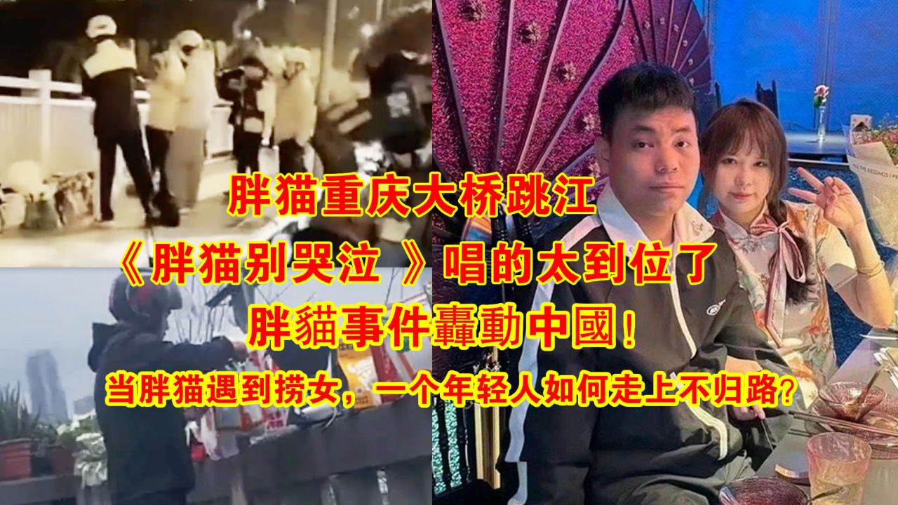 《胖猫别哭泣》唱的太到位了!当胖猫遇到捞女是如何走上不归路?_高清1080P在线观看平台_腾讯视频