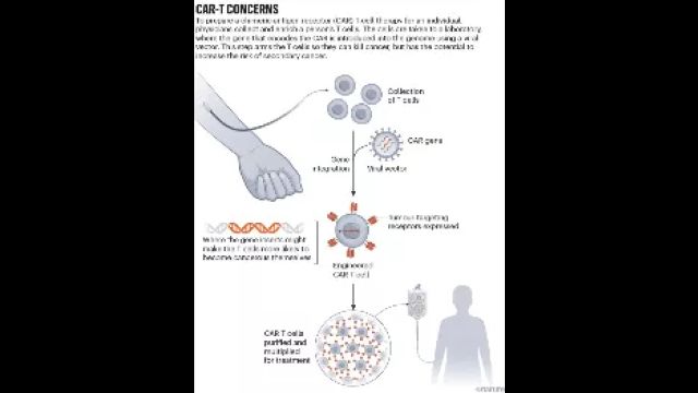 (FDA)正在研究一种涉及工程化改造个人免疫细胞以杀死癌细胞的策略是否导致接受该治疗的人出现新的恶性肿瘤.