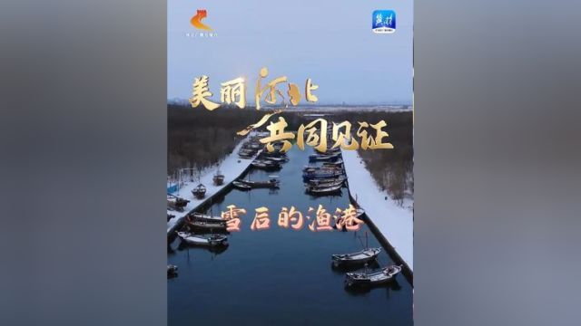 于文江《雪后的渔港》 #美丽河北共同见证 #美丽河北 #最美中国