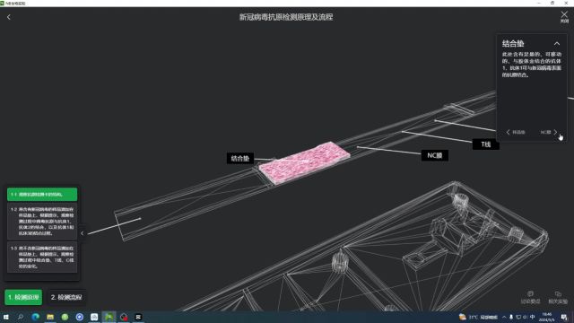 新冠病毒抗原检测原理2.NC膜