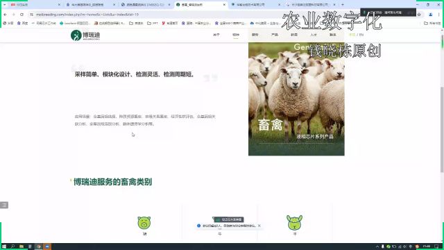 智慧育种及农牧企业数字化转型(3)作物基因型分析的详细内容