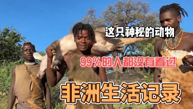 非洲土著人,狩猎奇特动物,99%的中国人应该都不知道叫什么?