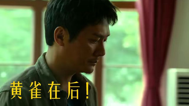 悬疑烧脑《黄雀在后》,黄觉演技惊艳