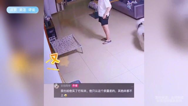 狗子:我多大体格子你不知道吗?