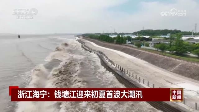 浙江海宁:钱塘江迎来初夏首波大潮汛