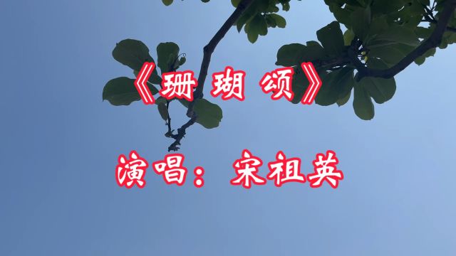 经典歌曲《珊瑚颂》,宋祖英演唱,歌声振奋人心