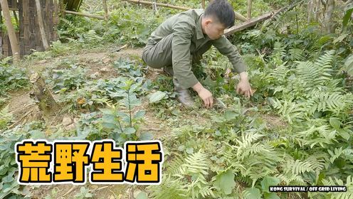 越南小哥不想打工才来到深山生活，没想到这里有做不完的农活