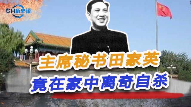 1966年,中南海发生一件怪事,主席秘书田家英,竟在家中离奇自杀