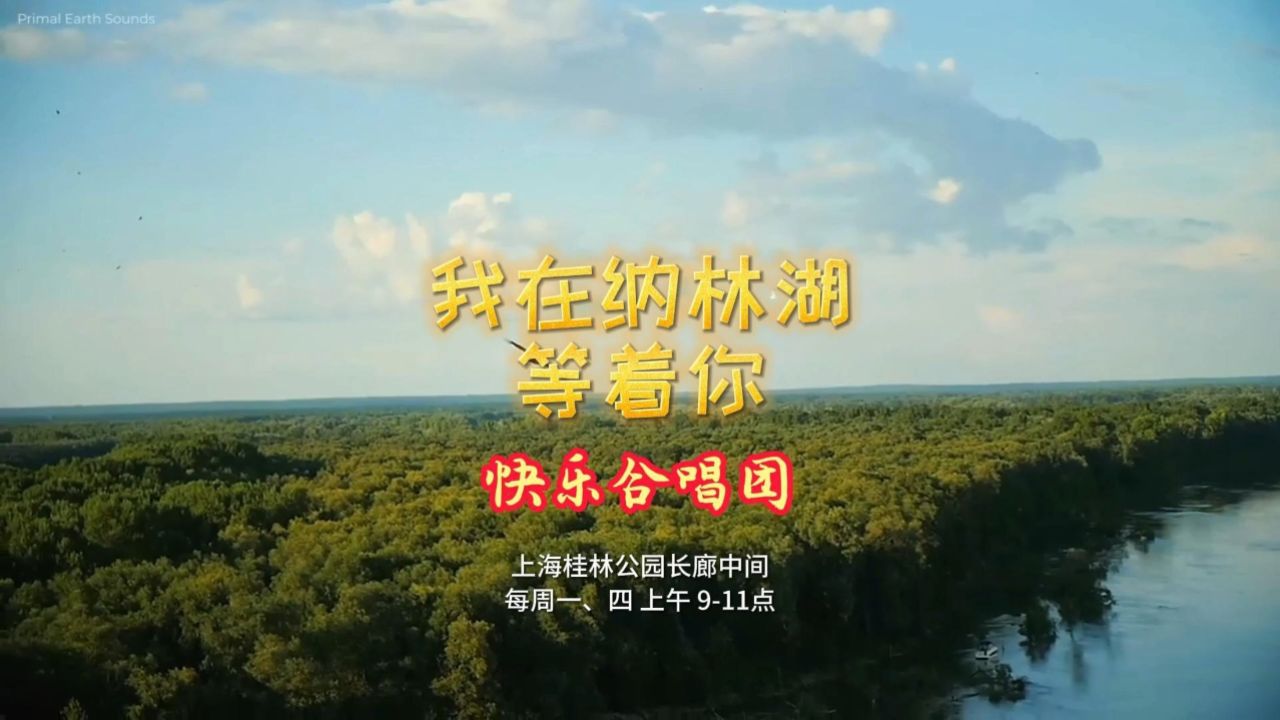 上海桂林公园快乐合唱团曲目《我在纳林湖等着你》