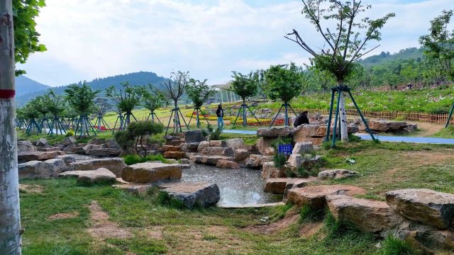 枣庄市薛城区:凤凰绿道焕新颜 市民共赴夏之约