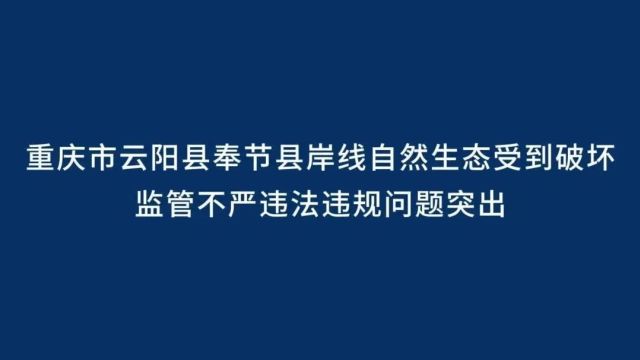 典型案例 | 重庆市云阳县奉节县岸线自然生态受到破坏 监管不严违法违规问题突出