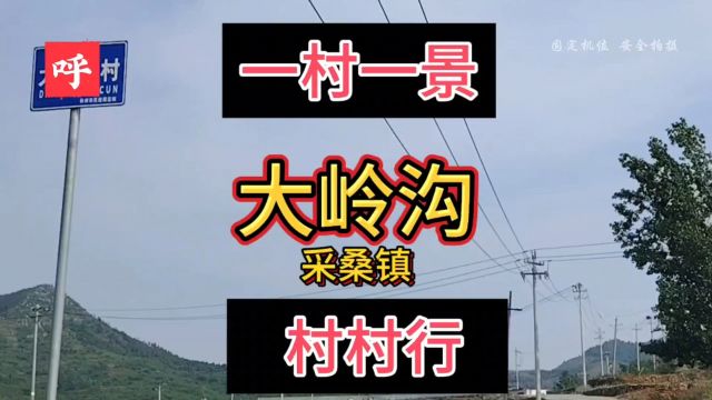 林州大岭沟村的村名由来,采桑镇大岭沟村的风景与故事,历史文化