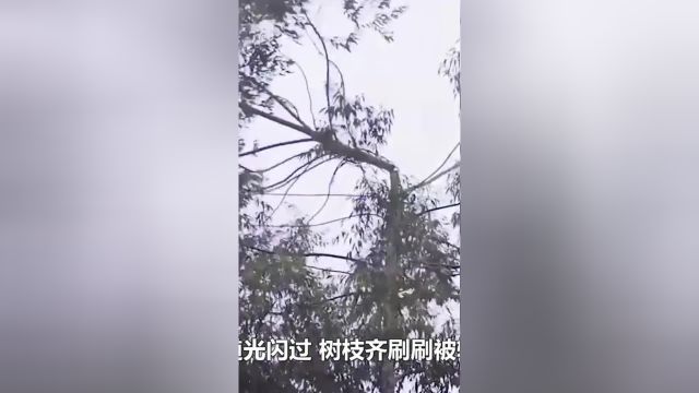 中国自创激光炮隔空砍树,堪比六脉神剑!