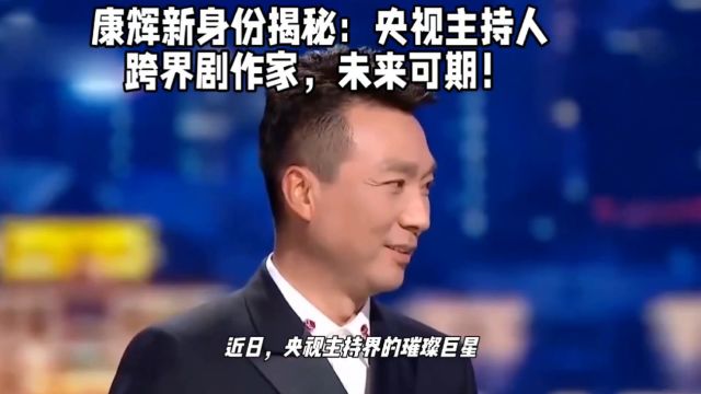 康辉新身份揭秘:央视主持人跨界剧作家,未来可期!