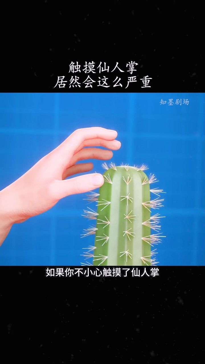 当手碰到仙人掌刺该如何处理