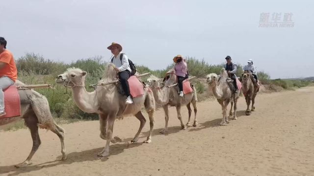 中国旅游日|探秘宁夏水洞沟