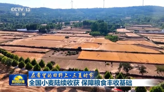 保稳产高产 籽粒饱满 全国小麦陆续进入集中收获期