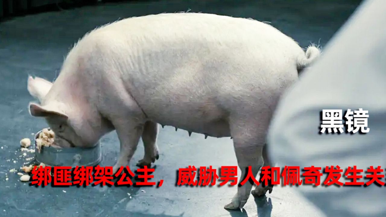 黑镜首相日猪是哪一集图片