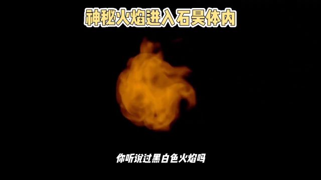 黑白色火焰:探秘准仙帝道火的神秘来历