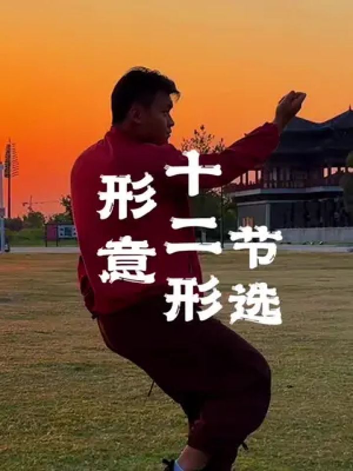 形意拳十二形 #形意拳 #十二形 #日常训练 #功夫 #一见爱上传统文化