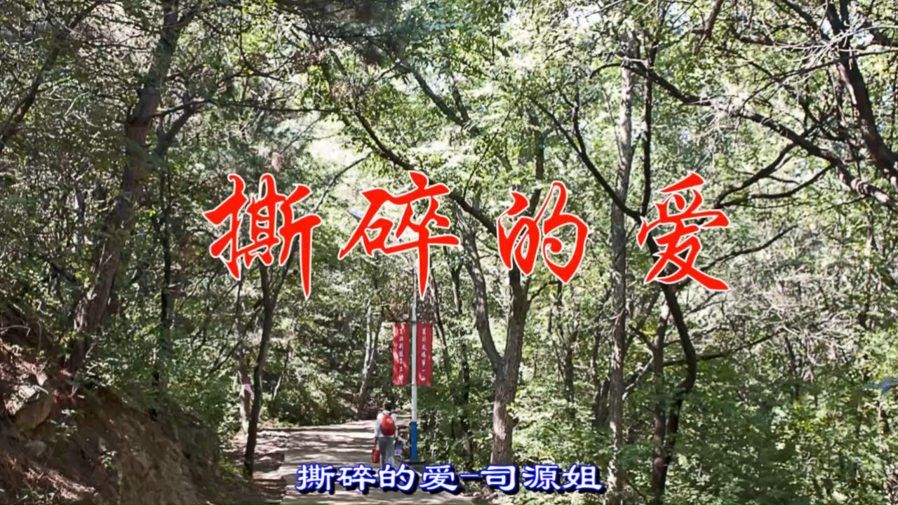 撕碎的爱 (演唱:司源姐)