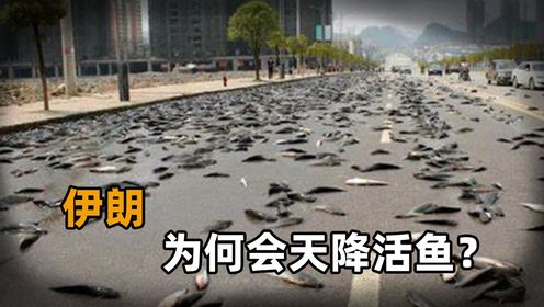 活久见!伊朗罕见空中“鱼雨”!大量活鱼从天而降,这究竟是怎么回事?_高清1080P在线观看平台_腾讯视频