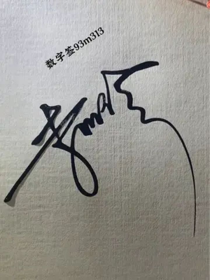 一笔写完的签名简单大气 李丽珍,设计好了,请保存,数字签93m313,学