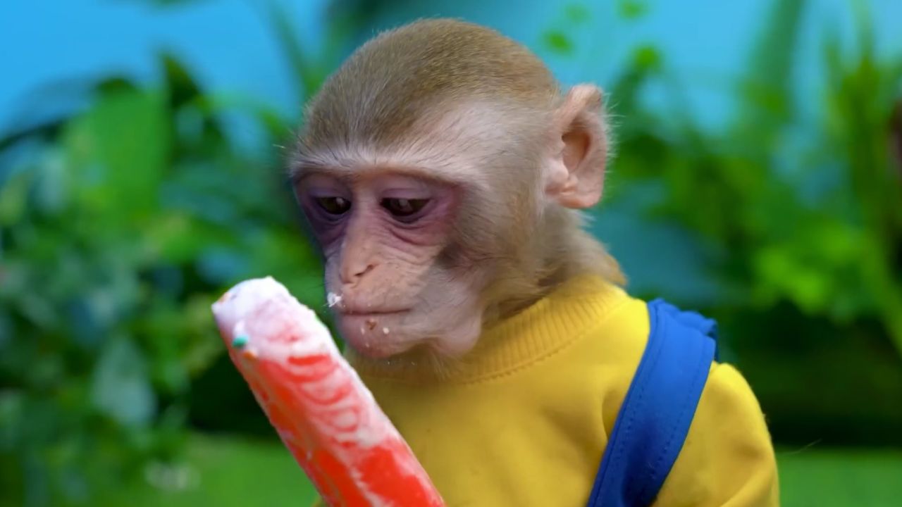 小猴子吃雪糕口中喷火