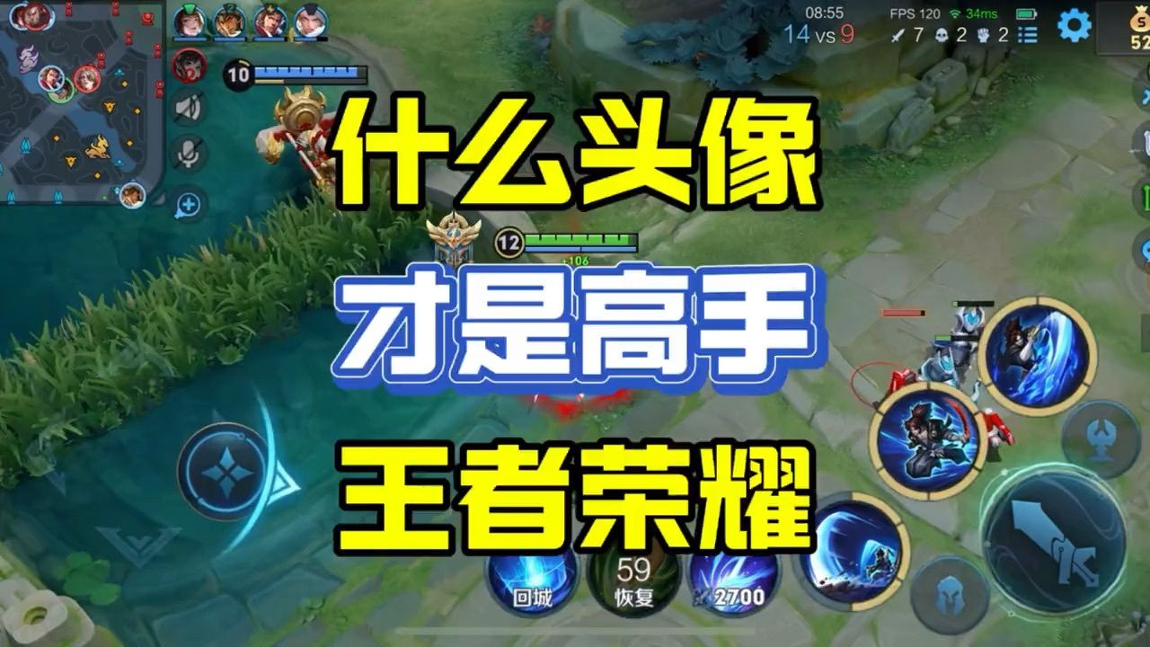 王者荣耀用什么头像的玩家是高手