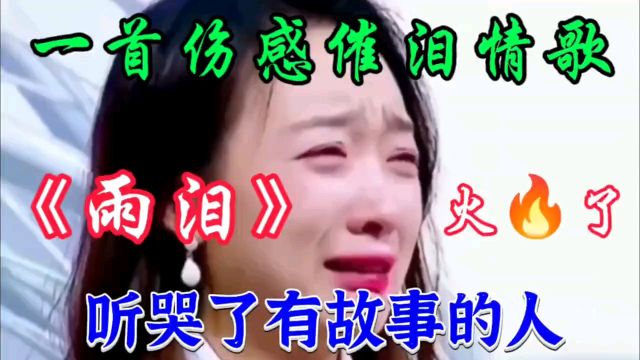 伤感催泪情歌《雨泪》旋律忧伤凄美句句深情入心 单曲循环超好听