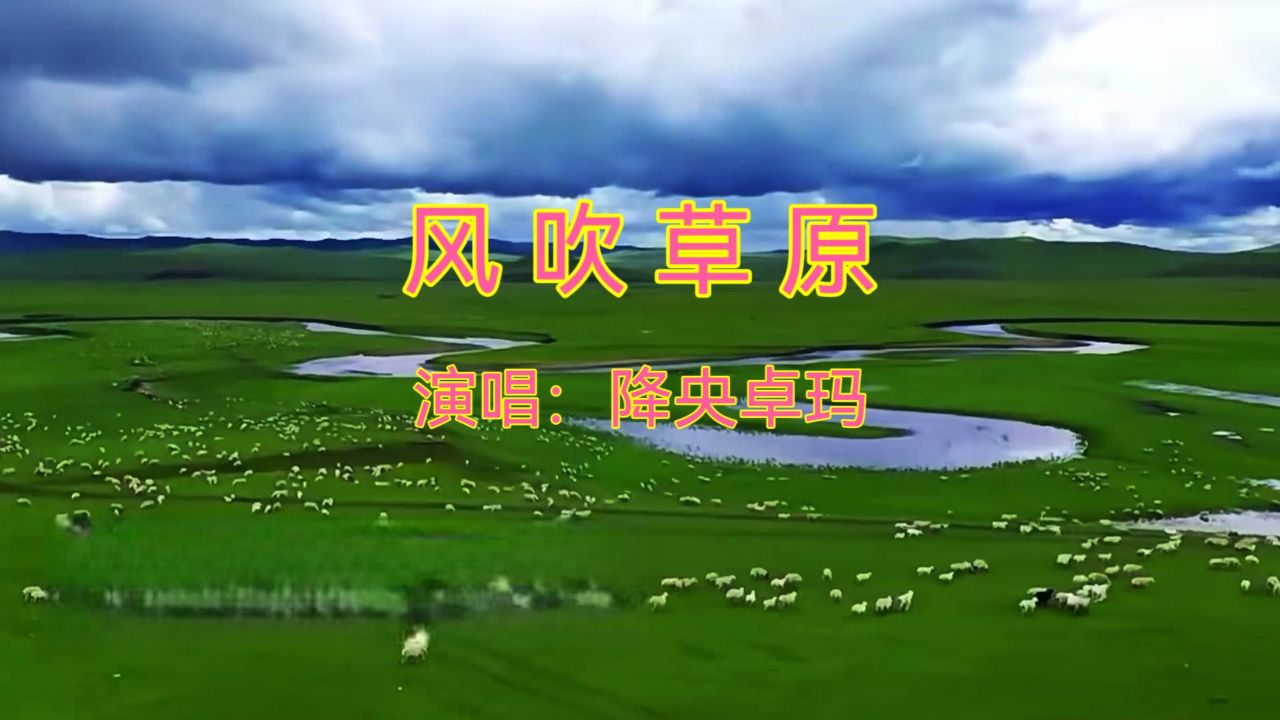 草原抒情歌曲《风吹草原》,降央卓玛演唱