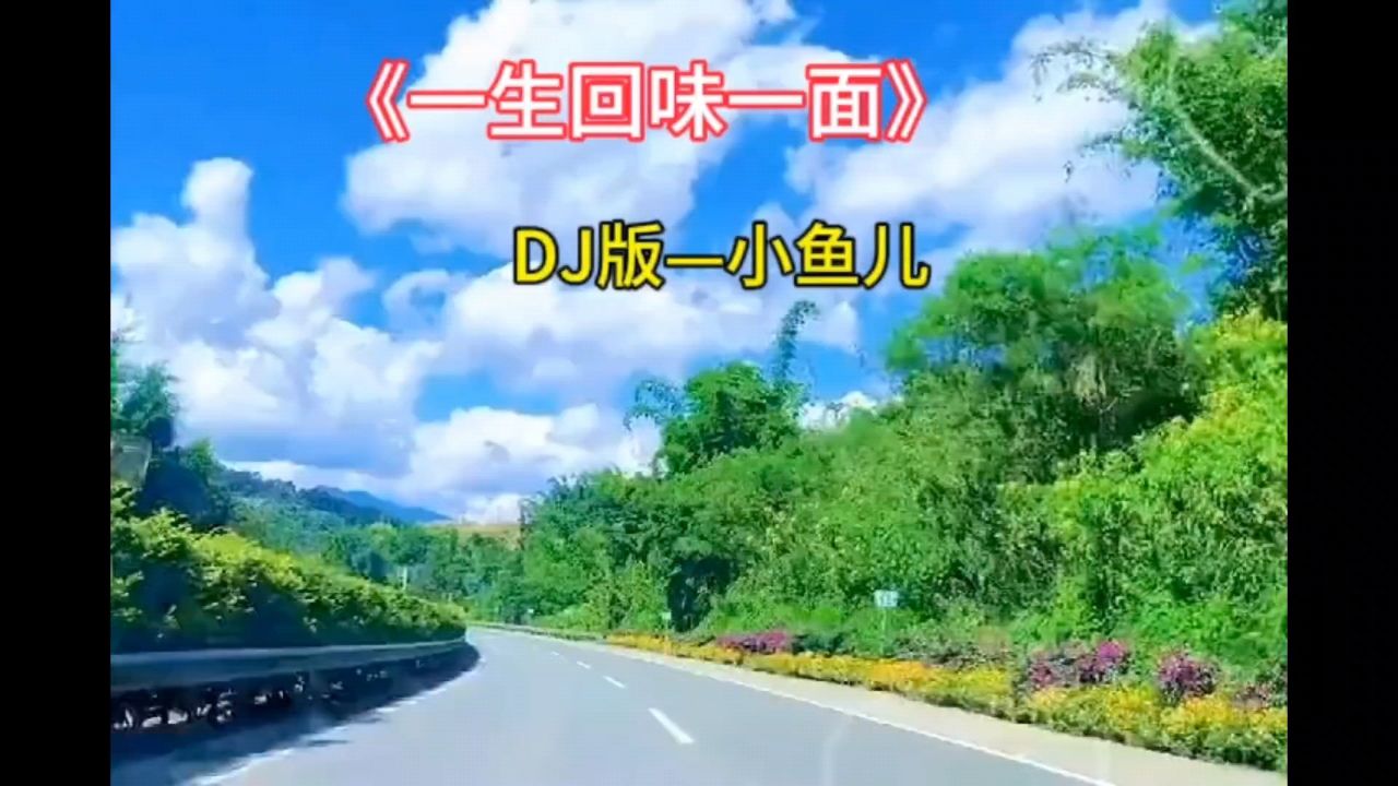 《一生回味一面》dj版小鱼儿太好听了